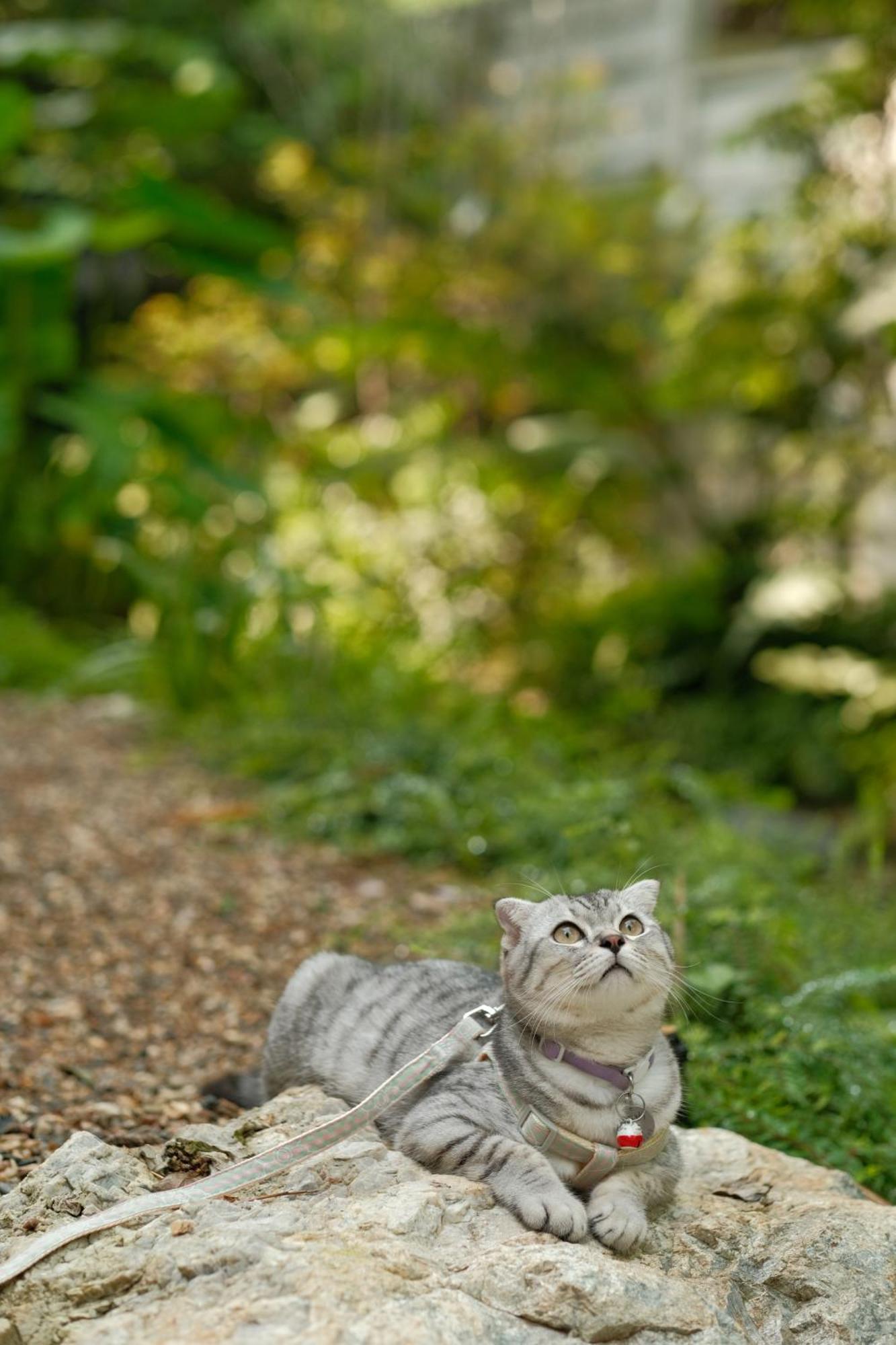 Proud Phu Fah Muang Chiang Mai Otel Dış mekan fotoğraf