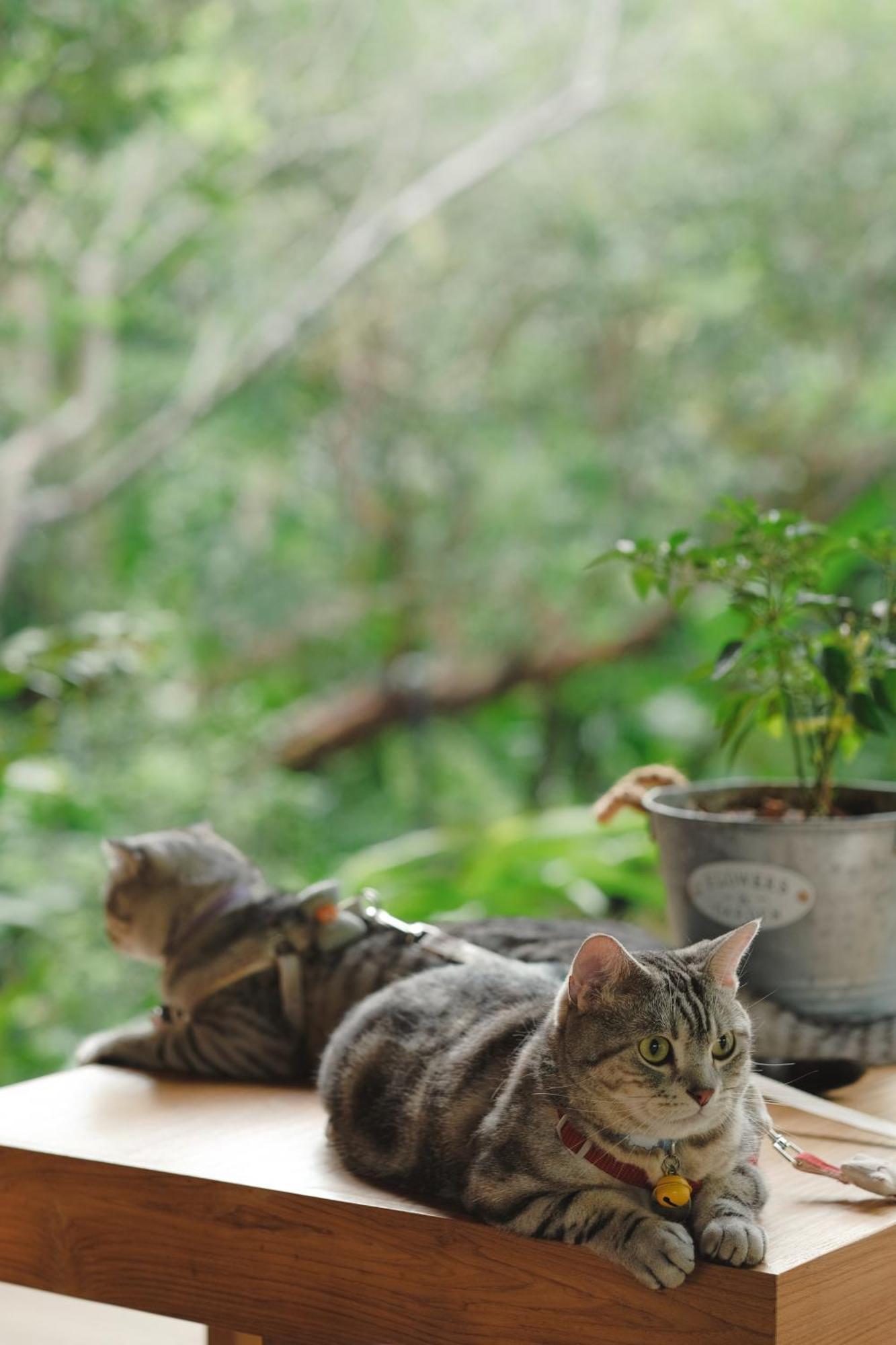 Proud Phu Fah Muang Chiang Mai Otel Dış mekan fotoğraf