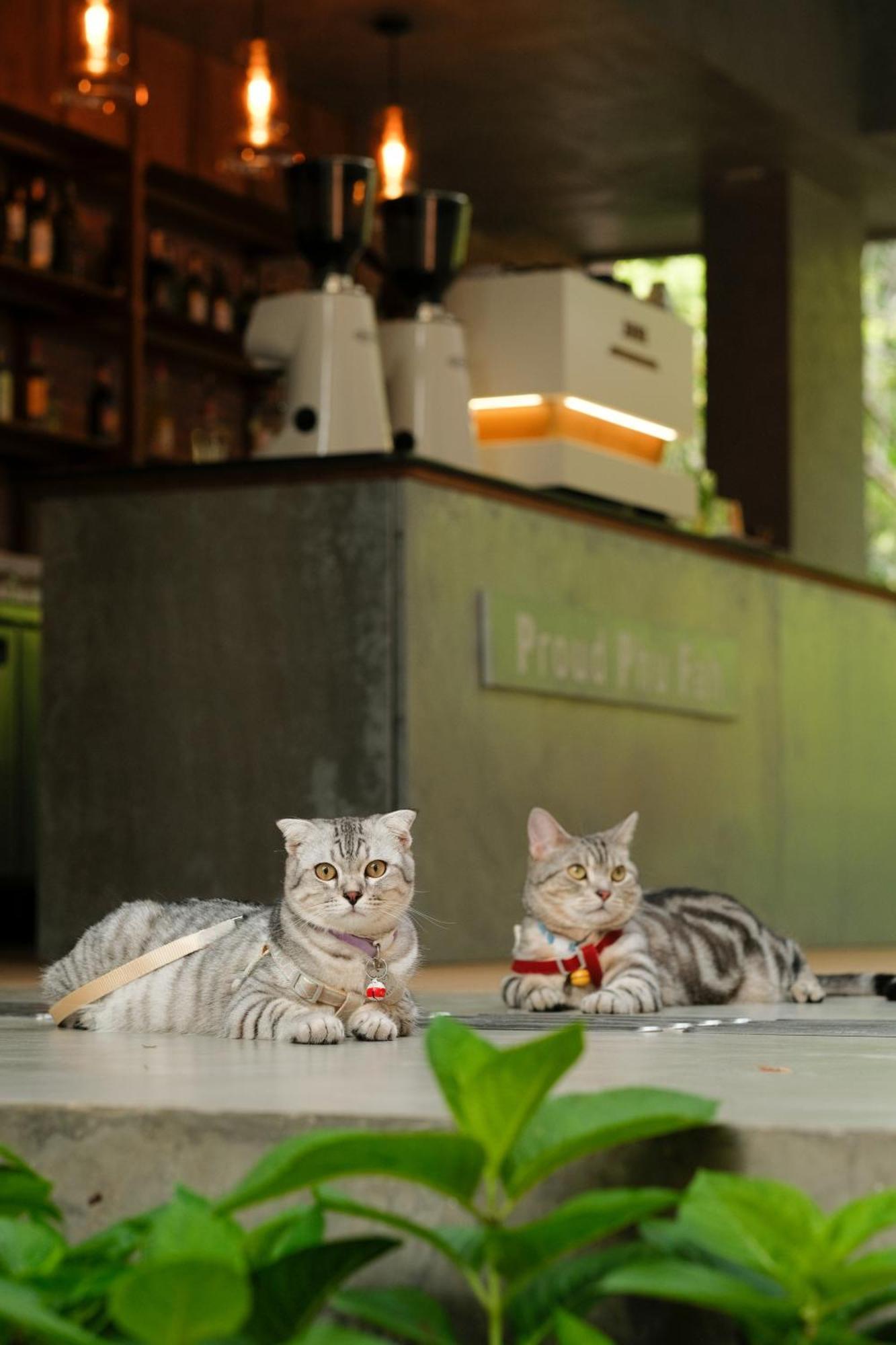 Proud Phu Fah Muang Chiang Mai Otel Dış mekan fotoğraf
