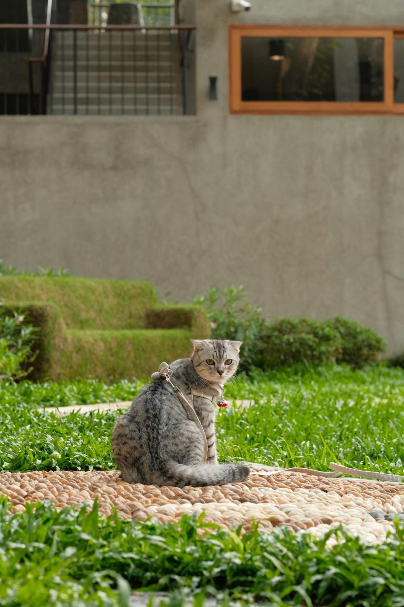 Proud Phu Fah Muang Chiang Mai Otel Dış mekan fotoğraf